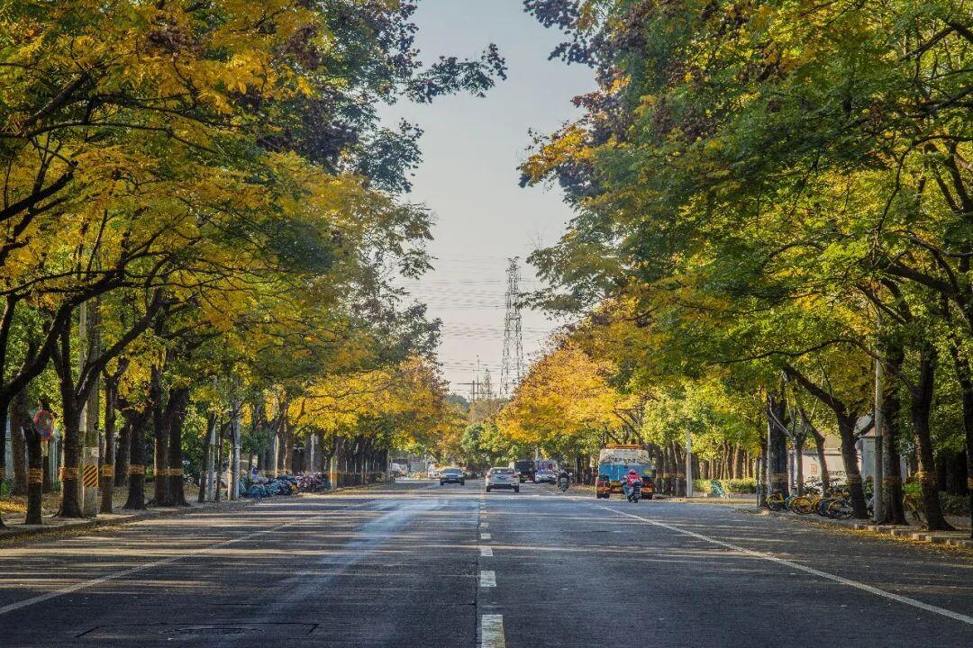 人生低谷，谁都难免遭遇，熬过去的办法也有不少。别只空想，要付诸行动。空想只会让