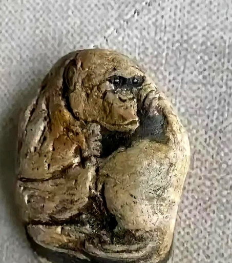 这块石头是我儿时在河边捡到的，被堂哥花10元买走后收藏至今。昨日，有古董贩子