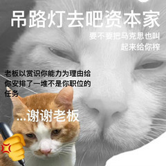 这两天很忙，有缘再见​​​