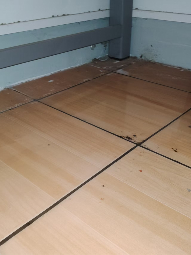 #复旦学生称床底渗水#【上海特大暴雨致地下超市遭遇水浸，已暂停营业！仍有雷阵雨