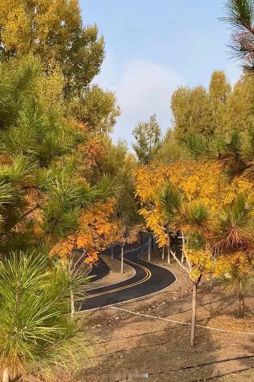 交易者如何在交易时不恐惧？消除恐惧是交易成功的一半，另一半需要培养出自制，学习一