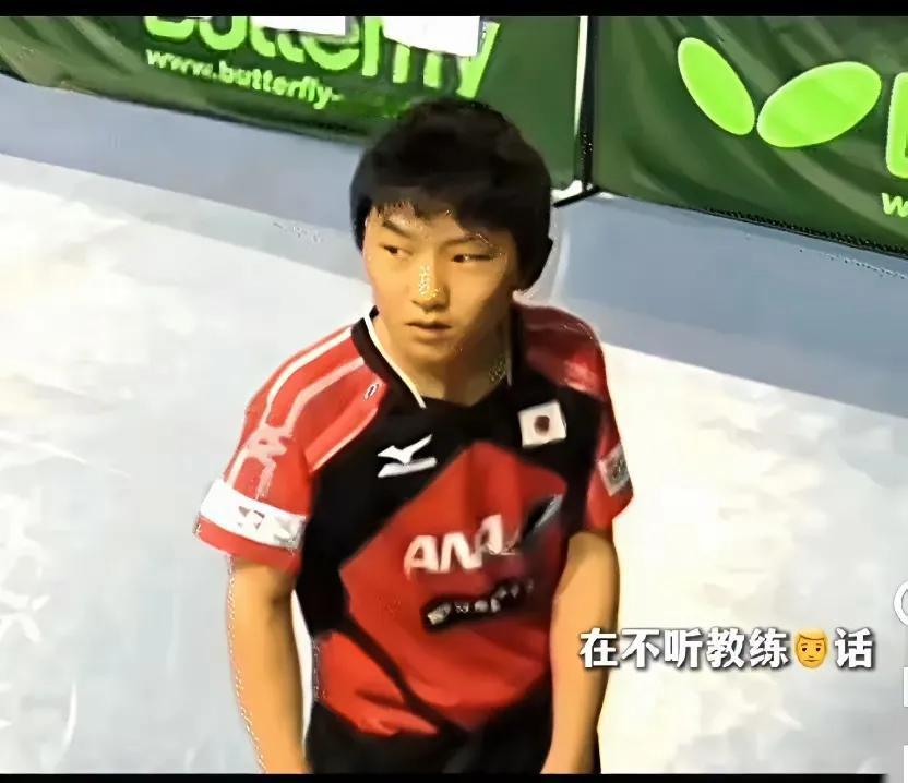 最丑的是张本智和最可爱的是戴眼镜的小布你们认同吗？