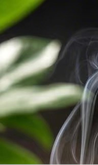 红薯种植方法红薯，又称地瓜，是一种营养丰富、口感独特的根茎类蔬菜。其栽培方法相