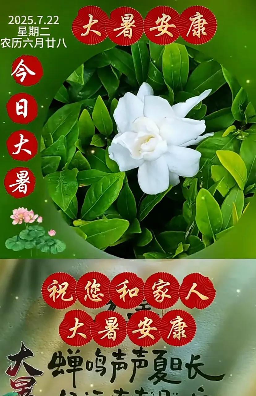 大暑快乐，愿你夏至健康，福气满满！