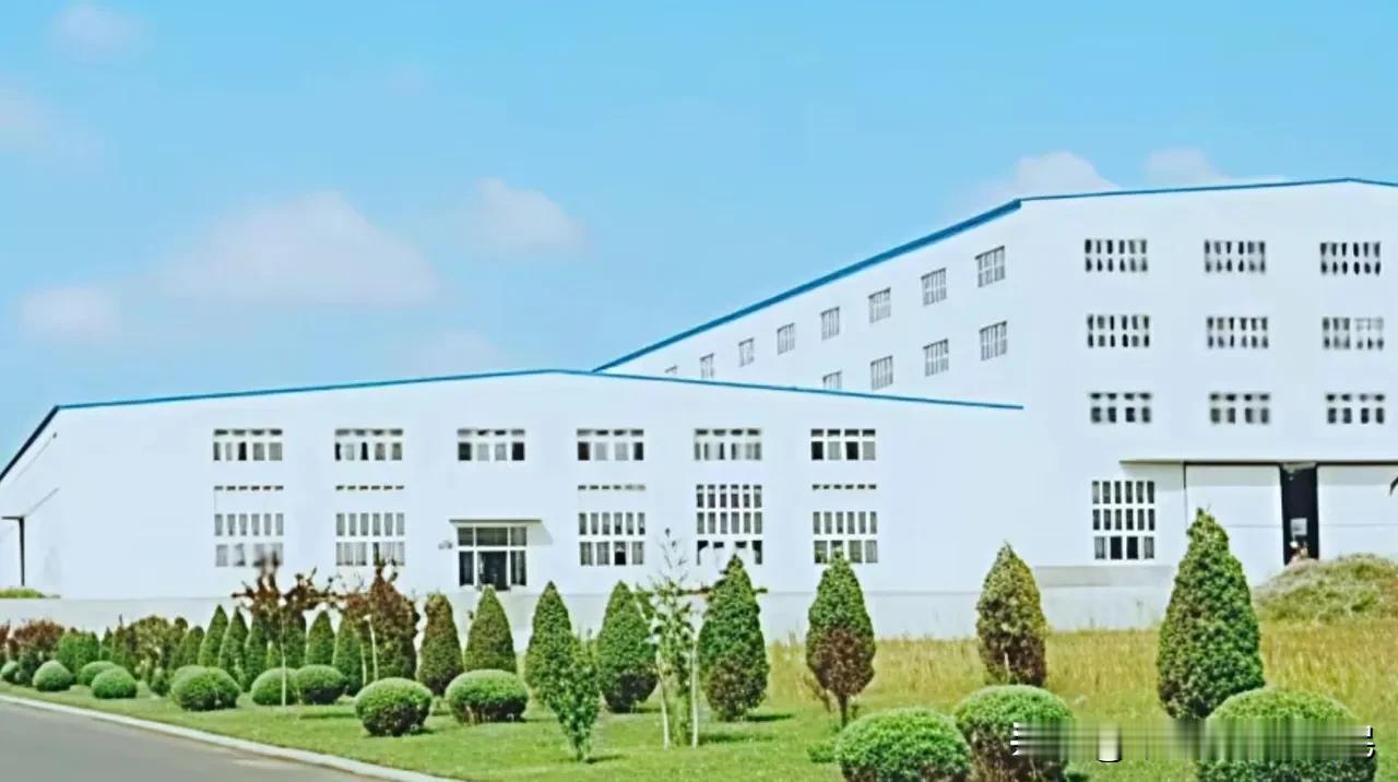 1.4亿国资折戟印度，赢了官司却血本无归大连重工老员工实名爆料，公司给印度