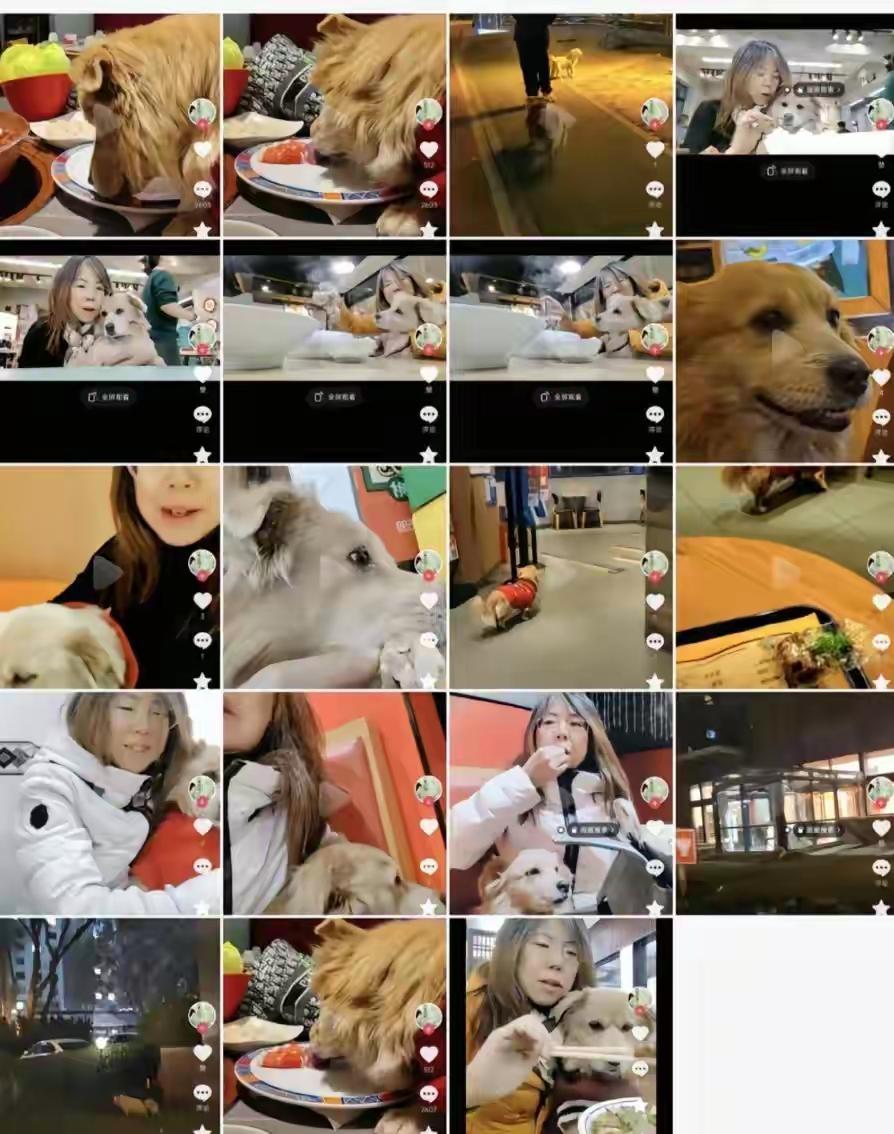 荒唐带狗去各个餐馆吃饭，让狗舔盘子，还发视频炫耀，真是亲妈啊！餐馆也有责任，