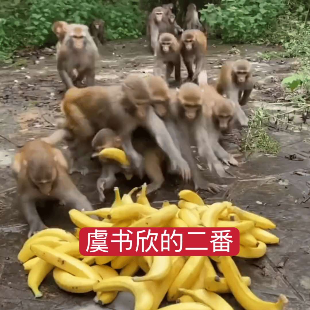 这个图谁做的啊啊啊啊笑发财了