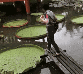 爆笑GIF: 你能别对我笑得那么甜嘛? 我心慌慌