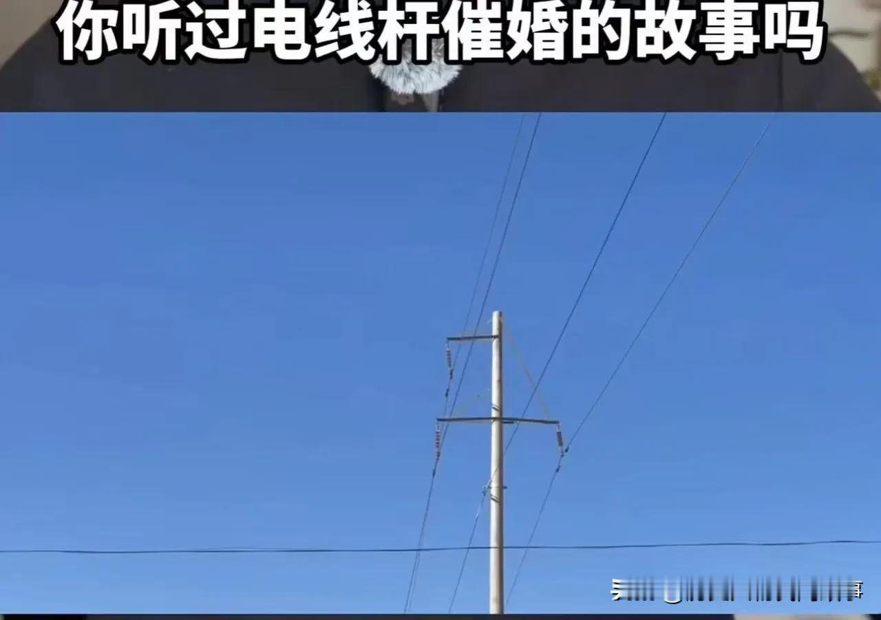 哈哈我已经开始笑了！结果供电局真的来施工，把一根电线杆移走了，然后……换