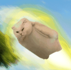 【你……你到底是小行星还是陀螺？！】据《中国科学报》消息，研究人员在智利薇拉·鲁