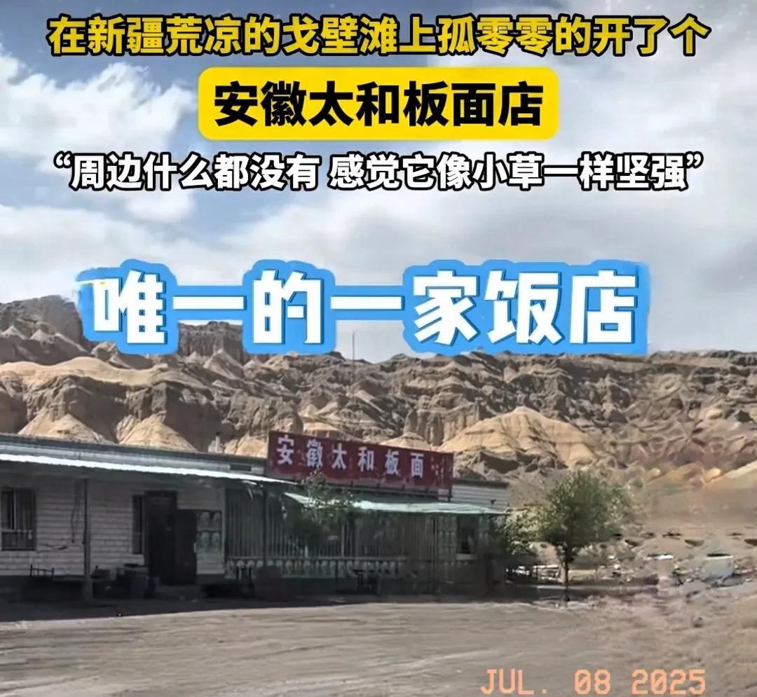 近日刷到一热点，有一老板在新疆戈壁滩上孤零零开了个板面店，很多人一定会说现在生意