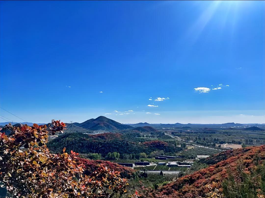 这两天刷到了万象城坠楼的事心情很沉重，心里很难过2022级的大学生，马上学成