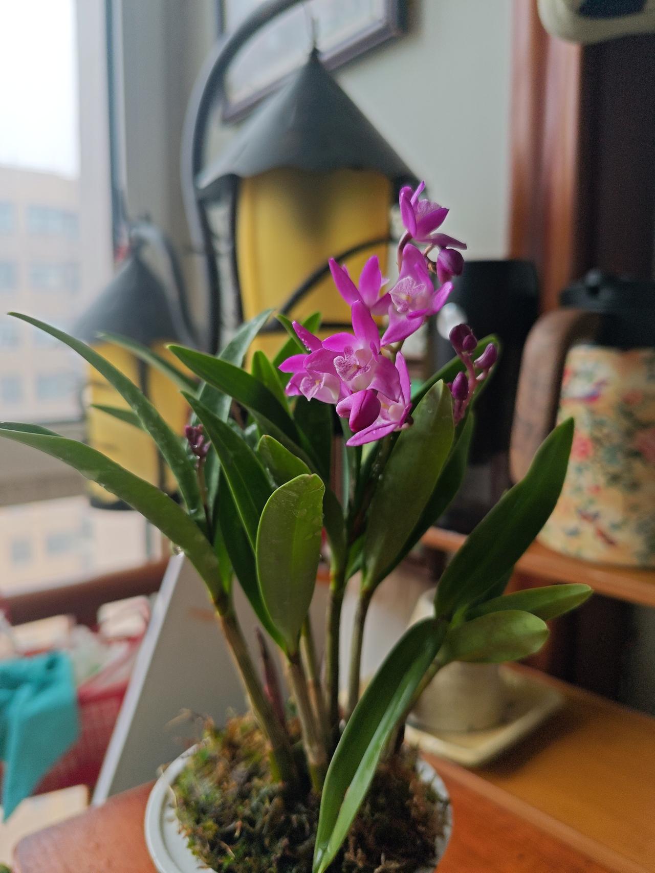 无由来的焦虑——自己太作这几年因为糟心事太多，身体始终处于一种莫名其妙的