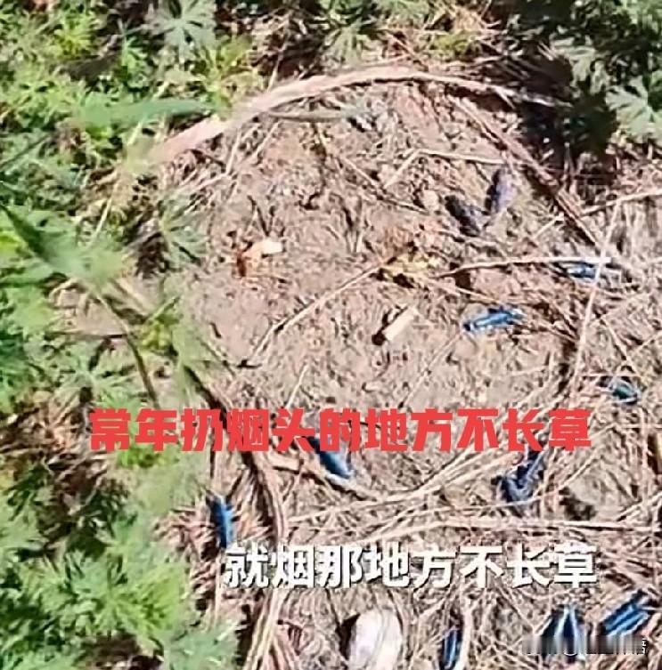 吸烟是最自残又害人害己的消费，真的得不偿失又浪费钱这是我看到的最“简单粗暴”