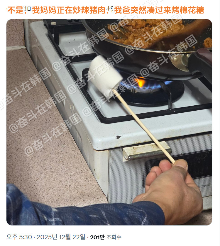 目击妈妈爸爸谈恋爱现场（？）海外新鲜事热点现场