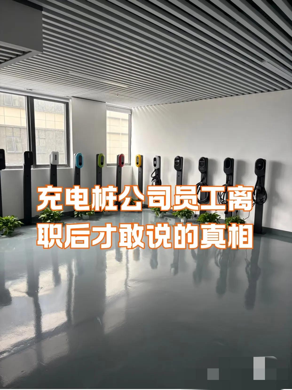 充电桩员工离职后，才敢说的真相。新能源在国内发展这么好，充电装备好的居然是外国品