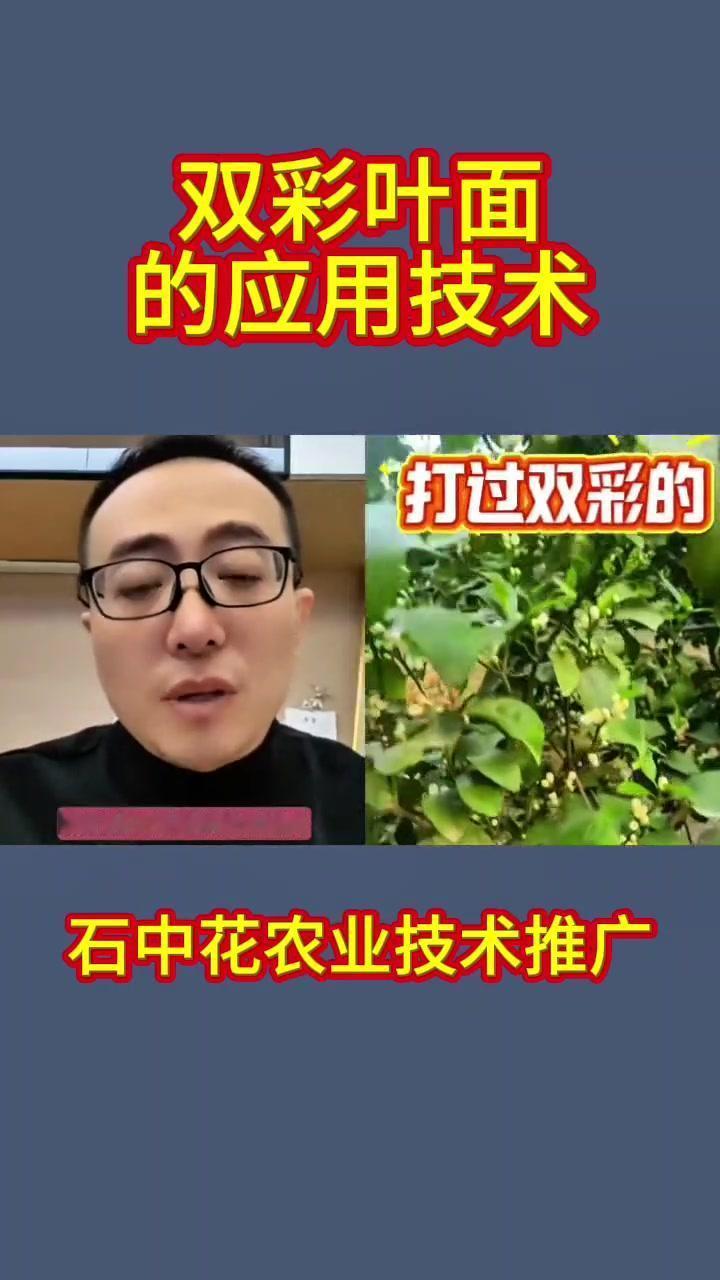 1️⃣控旺促光合：平衡碳氮比，叶片增肥变厚，增强光合作用，解决徒长问题不影响花芽