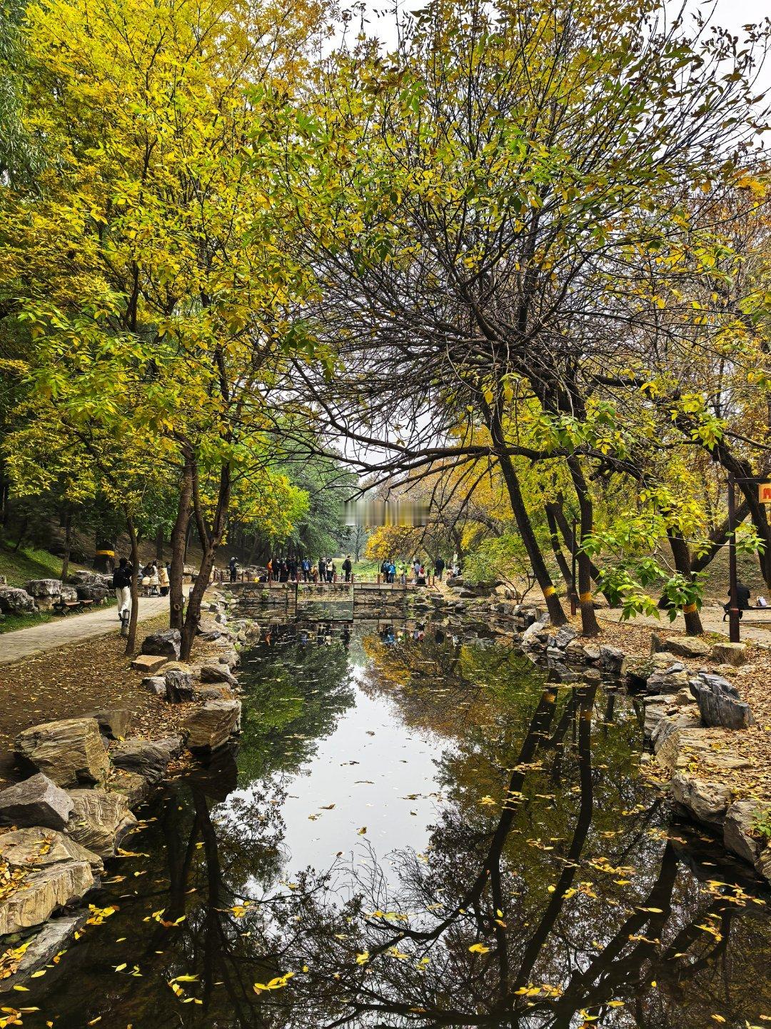 圆明园苹香榭秋色正浓我们一起欣赏北京秋天摄影​​​