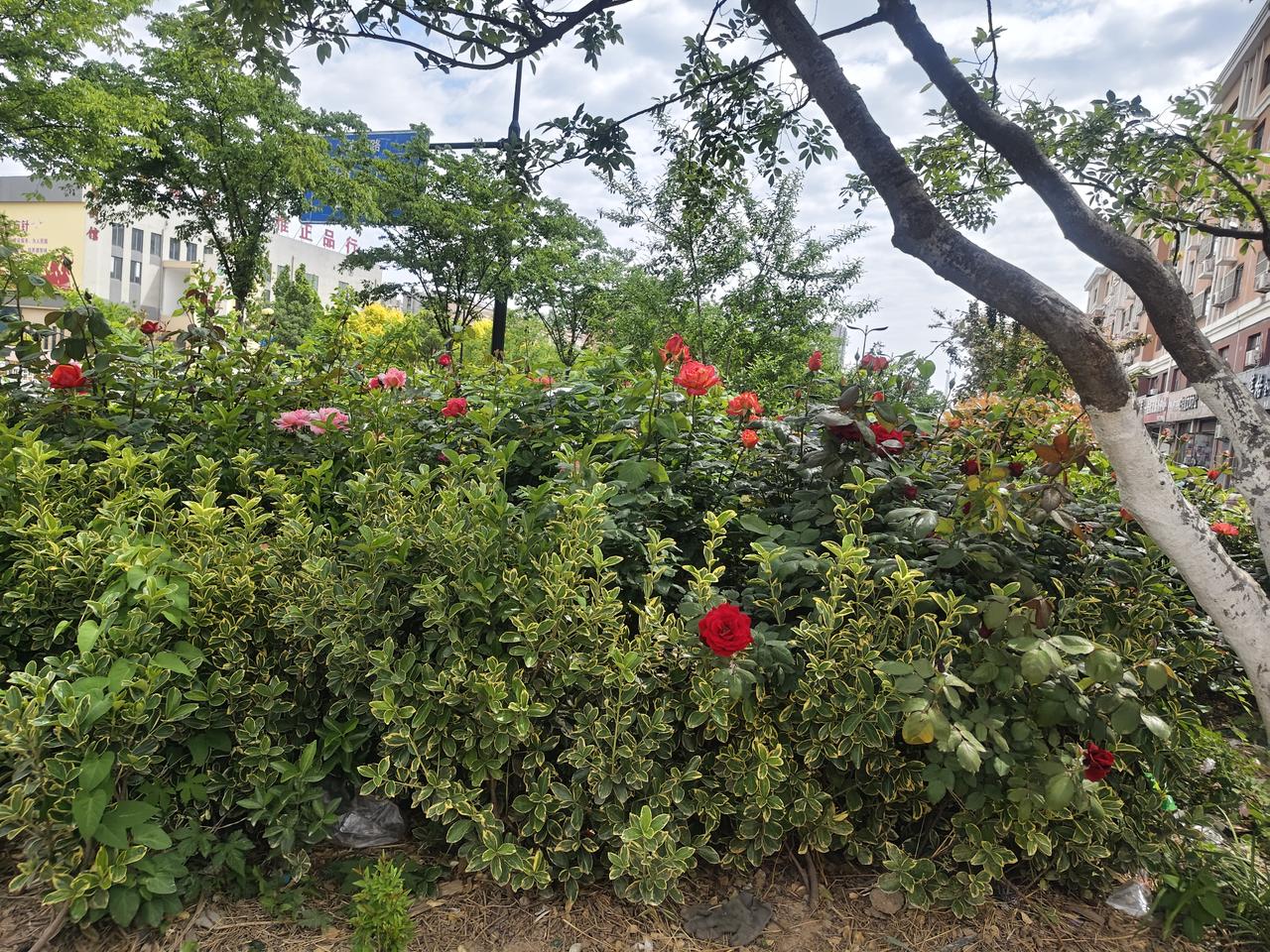 儿女不和，多是老人无德。我老家前邻老头，今年102高龄，生了三个儿子，一个女儿