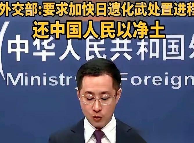 33万枚毒弹，就埋在我们脚下的土地里。这笔账，日本耍赖了19年。我有时候真的