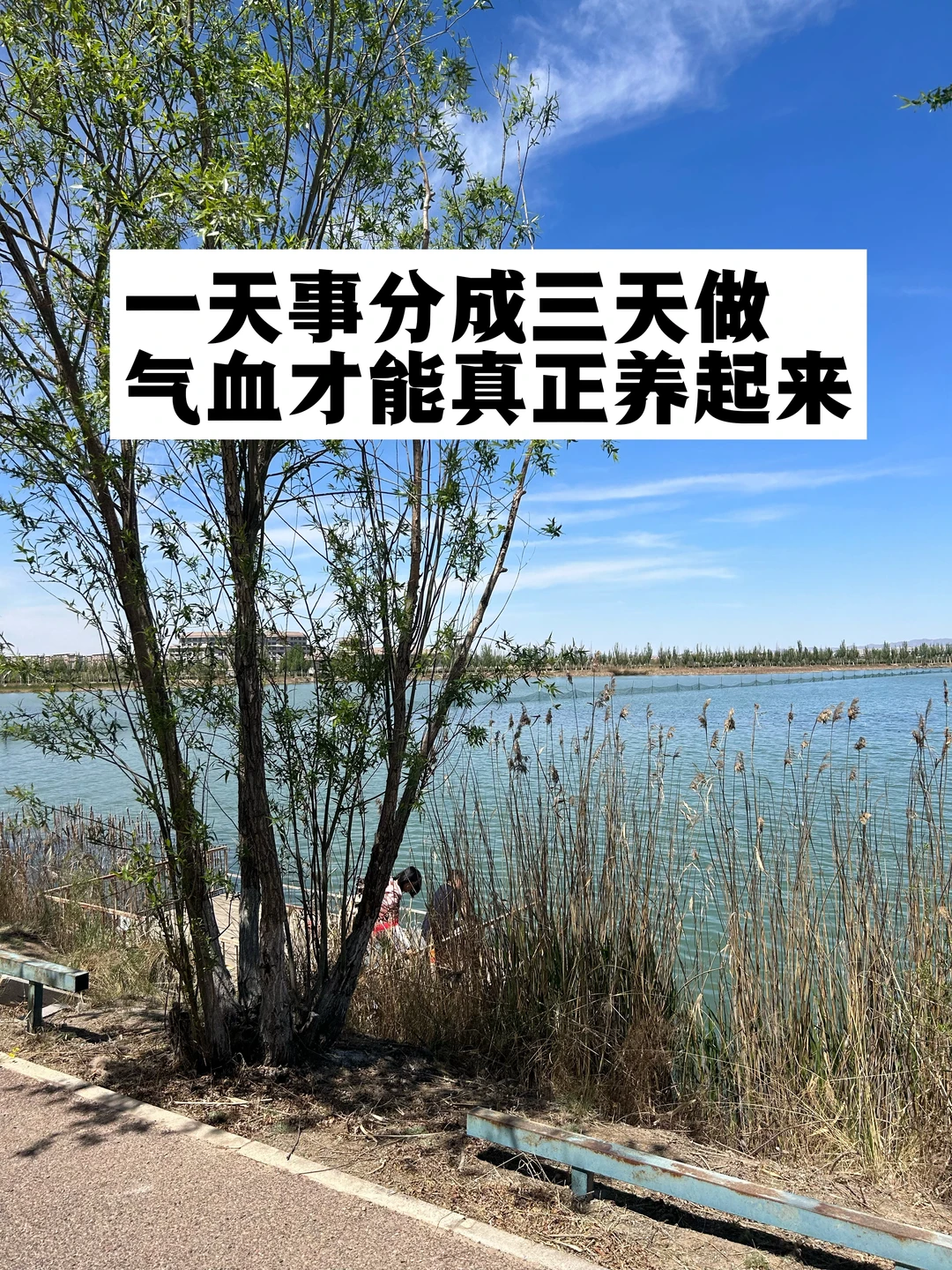 一天事分成三天做，气血才能真正养起来.