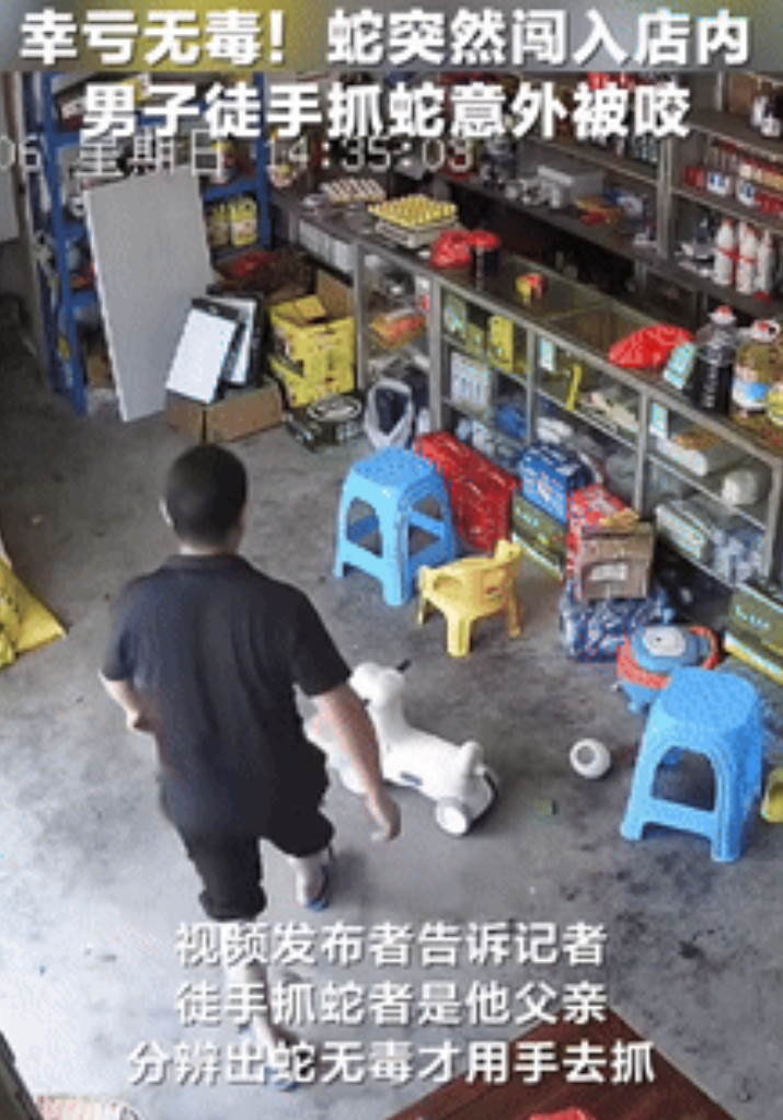 “笑麻了！”江西，小卖部闯入一条黑蛇，老板竟上演“反面教材式”抓蛇，场面一度失控