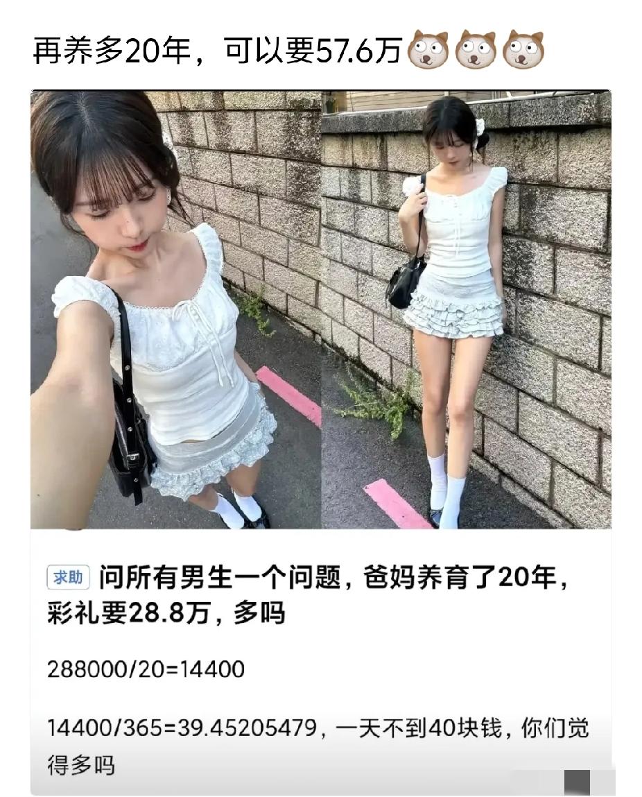 一天40确实不多，我出200，先买5天