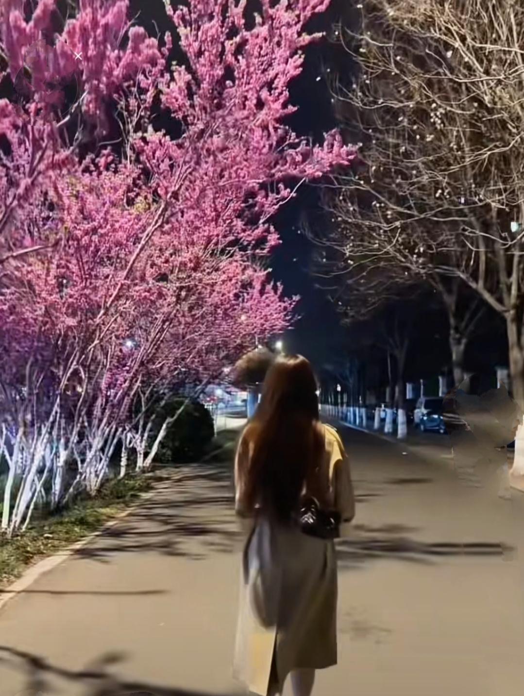 致高考考生高考，无非就是很多人同时做一份卷子，然后决定去哪一座城市，最终发现，