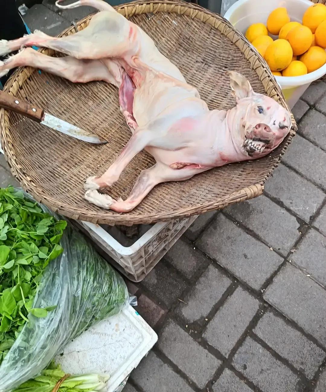 白毛把那只黄狗往铁秤上一扔，说二十块一斤，四十斤整。我蹲在旁边看他掰开狗嘴给人