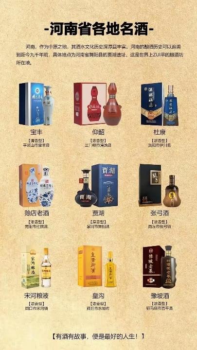 哪款酒才最能代表河南酒文化的历史，平顶山的宝丰近年来由于胖东来的销售合作，一直卖