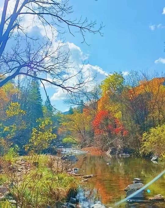 与痛风斗争的历程56早晨阳光很好，新的一天如期而至。该来的，终究躲不过