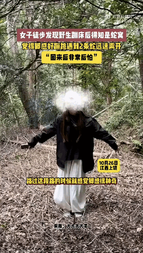 这就是无知者无畏了,在眼镜王蛇窝上面蹦跶,没被咬真是祖坟冒青烟了!江