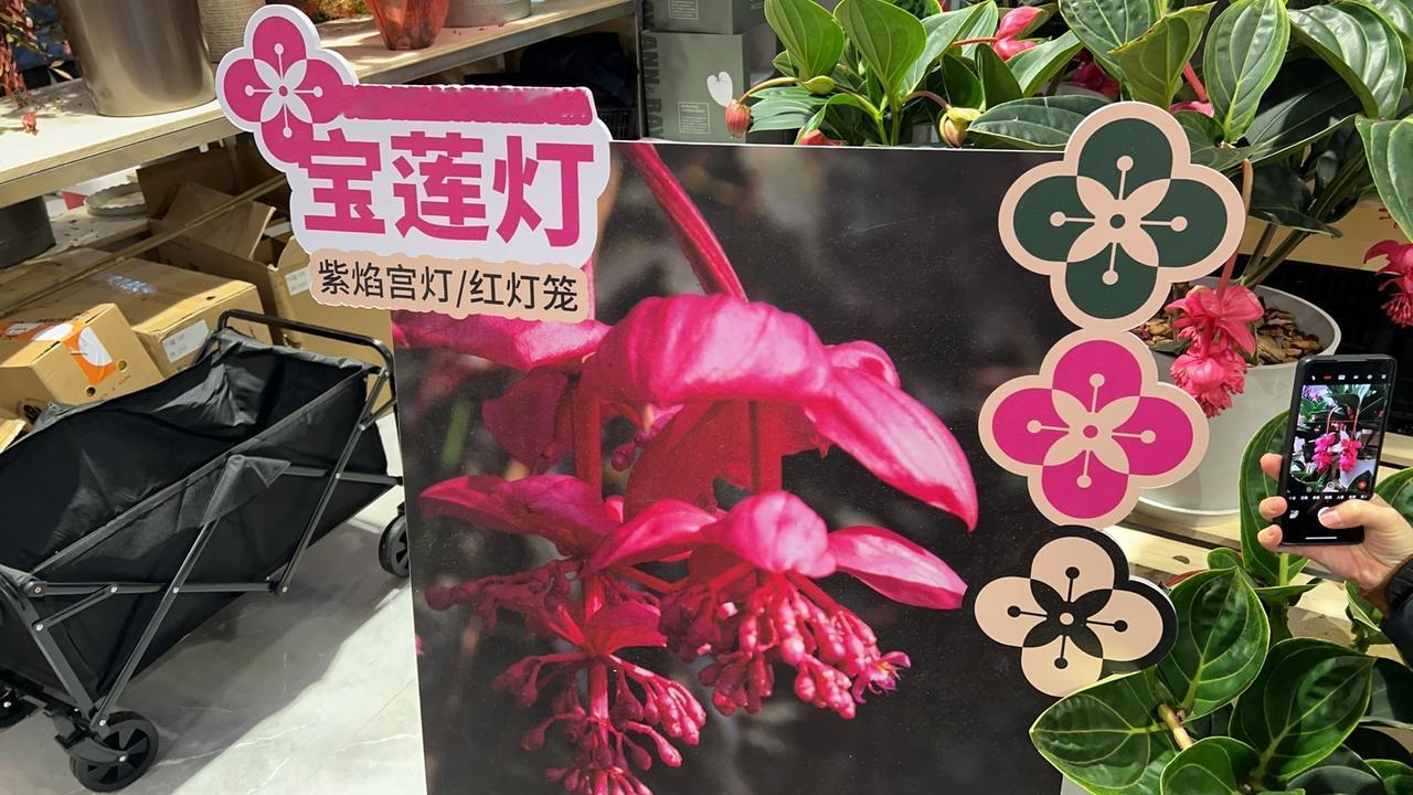 现在真正的兜底资产，老百姓账户里有吗？如今普通老百姓生个大病，老了失能，都没有