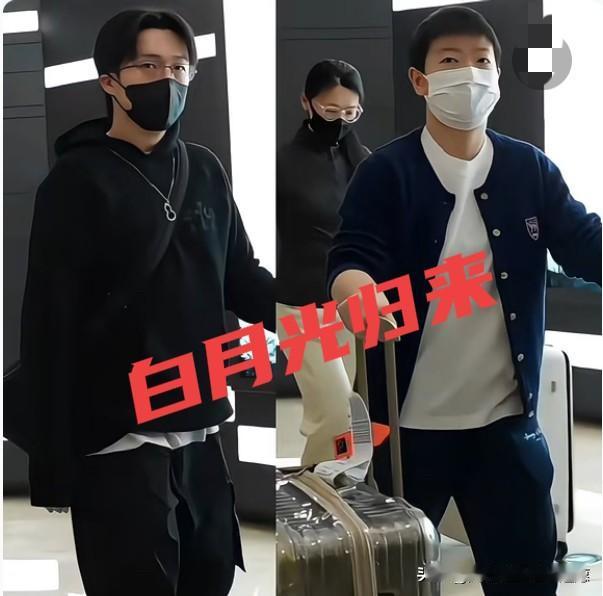 白月光归来，生活又有了奔头，一切又开始热闹起来。睁开眼睛就开始刷，看他们出现