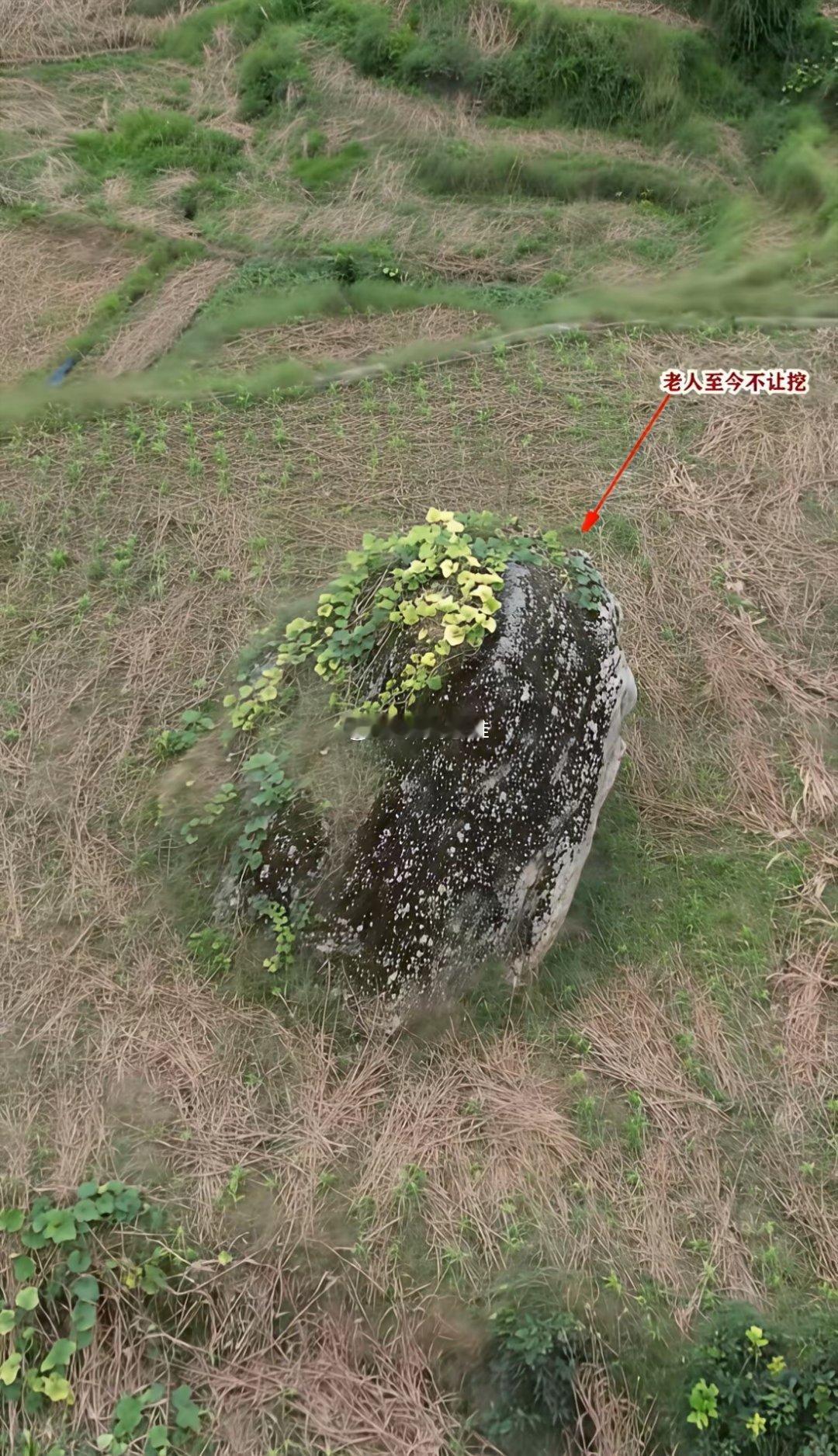 贵州田地里一块怪石几代耕耘才露出来本来准备挖掉，老人说不能动