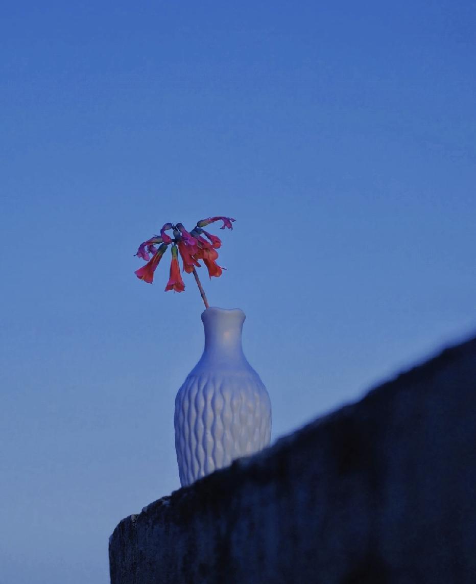 一段非常实在的话：“其实人真正需要的，不是婚姻，不是性，甚至都不是伴侣，而是正