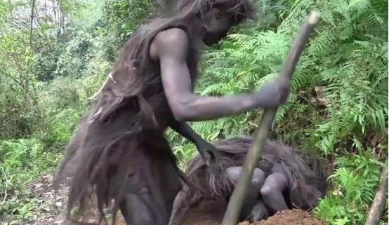 1956年，李队长率领部队进入云南原始森林寻找一名失踪的小战士。在森林深处，他们