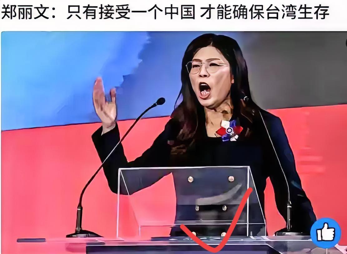 郑丽文这波操作太提气了！敢硬刚美国、直怼“台独”，还被日媒喊“统一女神”，这
