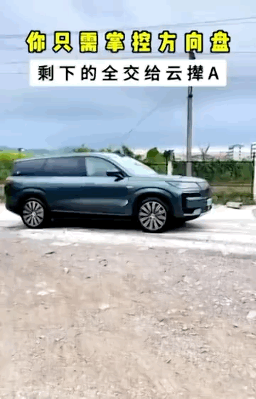 车主：“不错，看来我技术又提升了！这么的大水坑车身居然没有晃动！”云辇：“你放