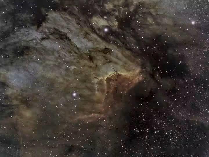 鹈鹕星云中的IC5067，凝视这幅宇宙肖像，你将遇见IC5067那