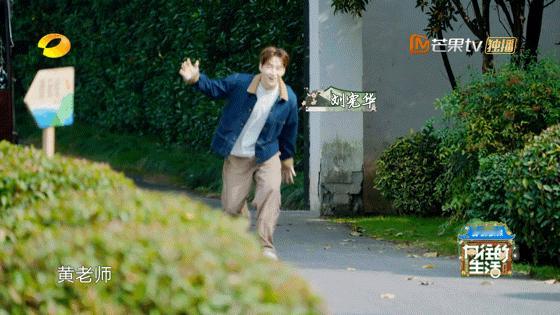 谁的青春DNA动了！张艺兴回归蘑菇屋，大华刘宪华惊喜加盟，黄磊何炅领衔历代常驻重