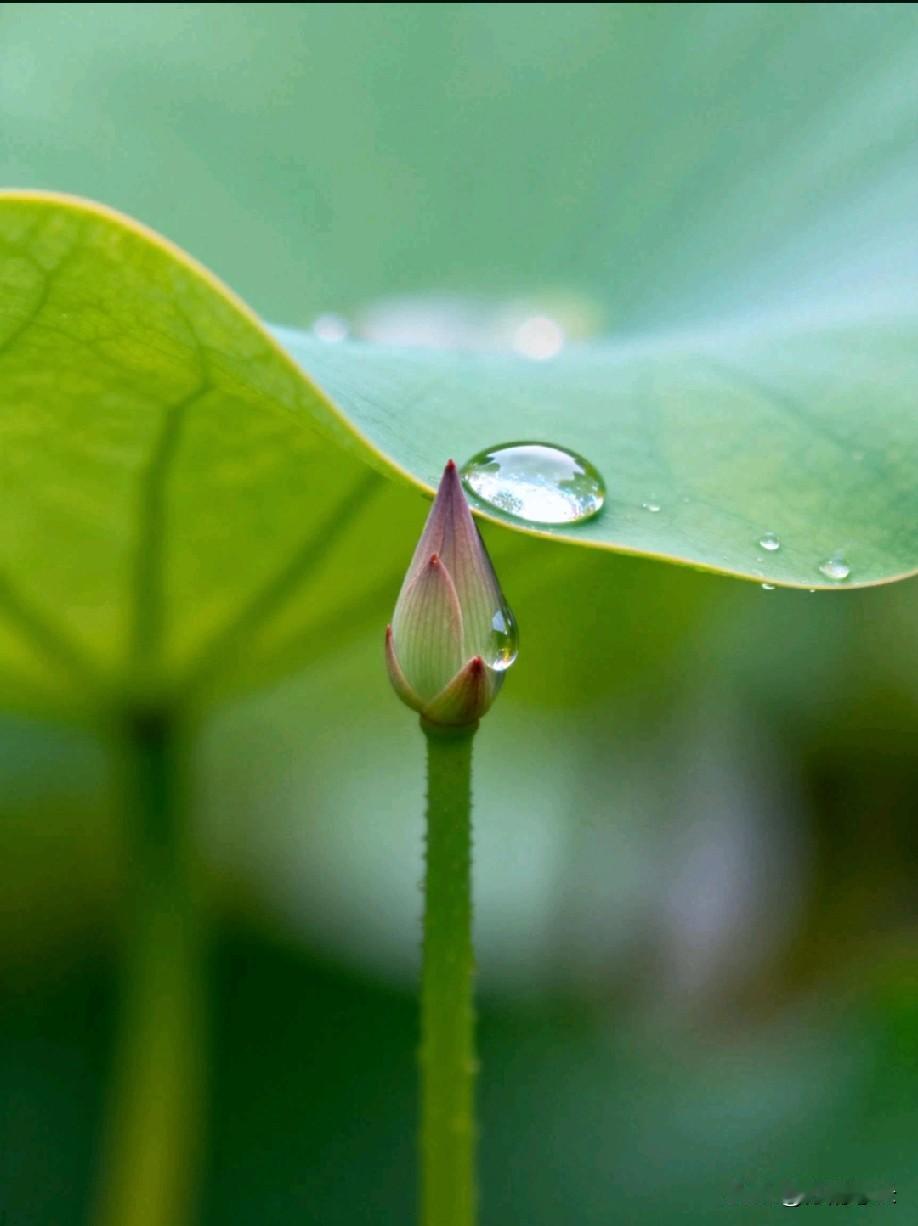 高三家长一席话，豁然开朗啊！“没有什么好焦虑的，不要去网上听任何人的建议，再好的