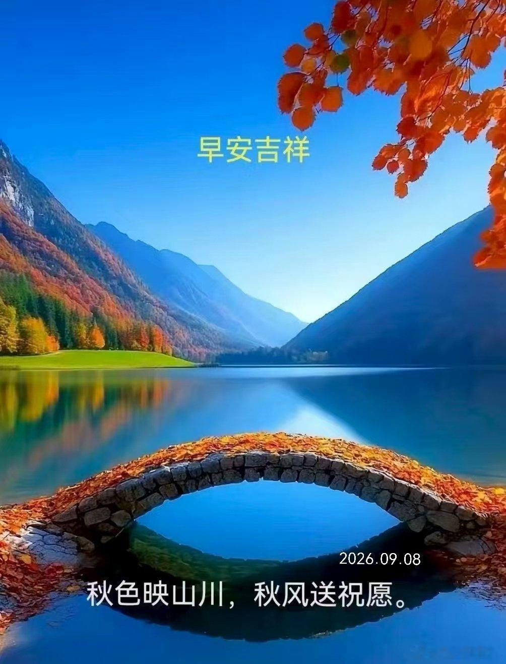 周二早安～一场秋雨一场寒，捧杯热茶驱驱凉，秋日安然好时光🍵​​​