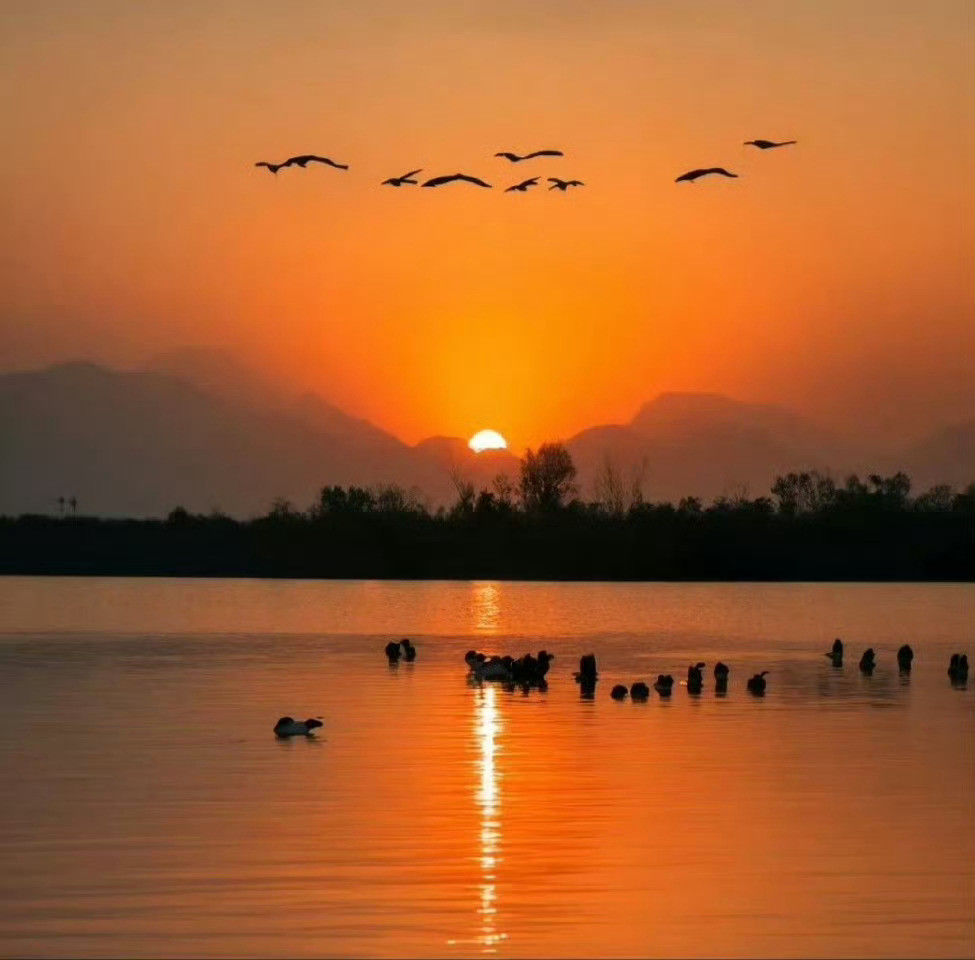 上乘之境，合也。正反之合，阴阳之合，天地之合，身心之合，知行之合。合，乃天乐也。