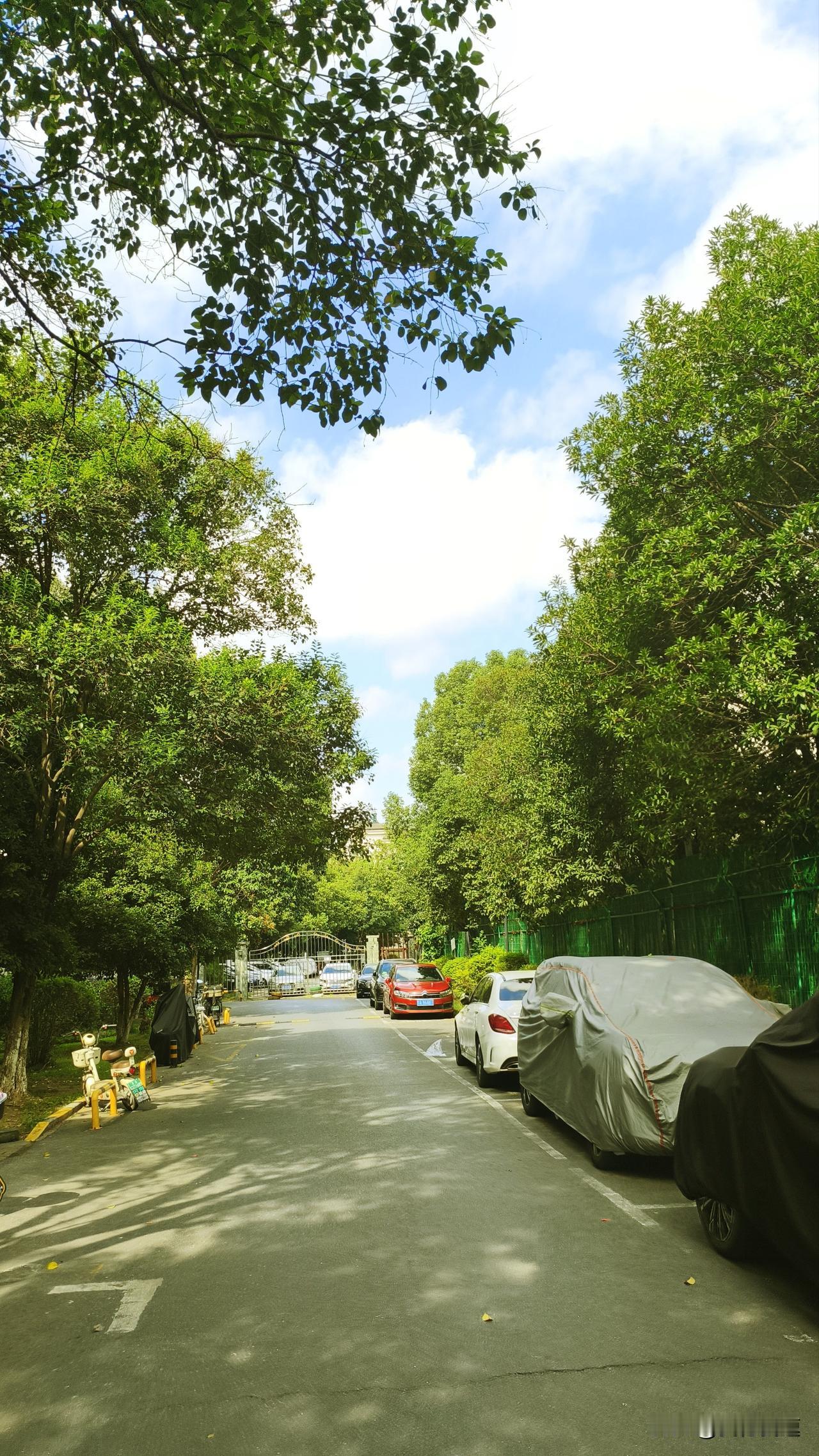 南京今天（9月23日）这天气简直绝了，截至13时最高气温达到35℃，成了南京最晚