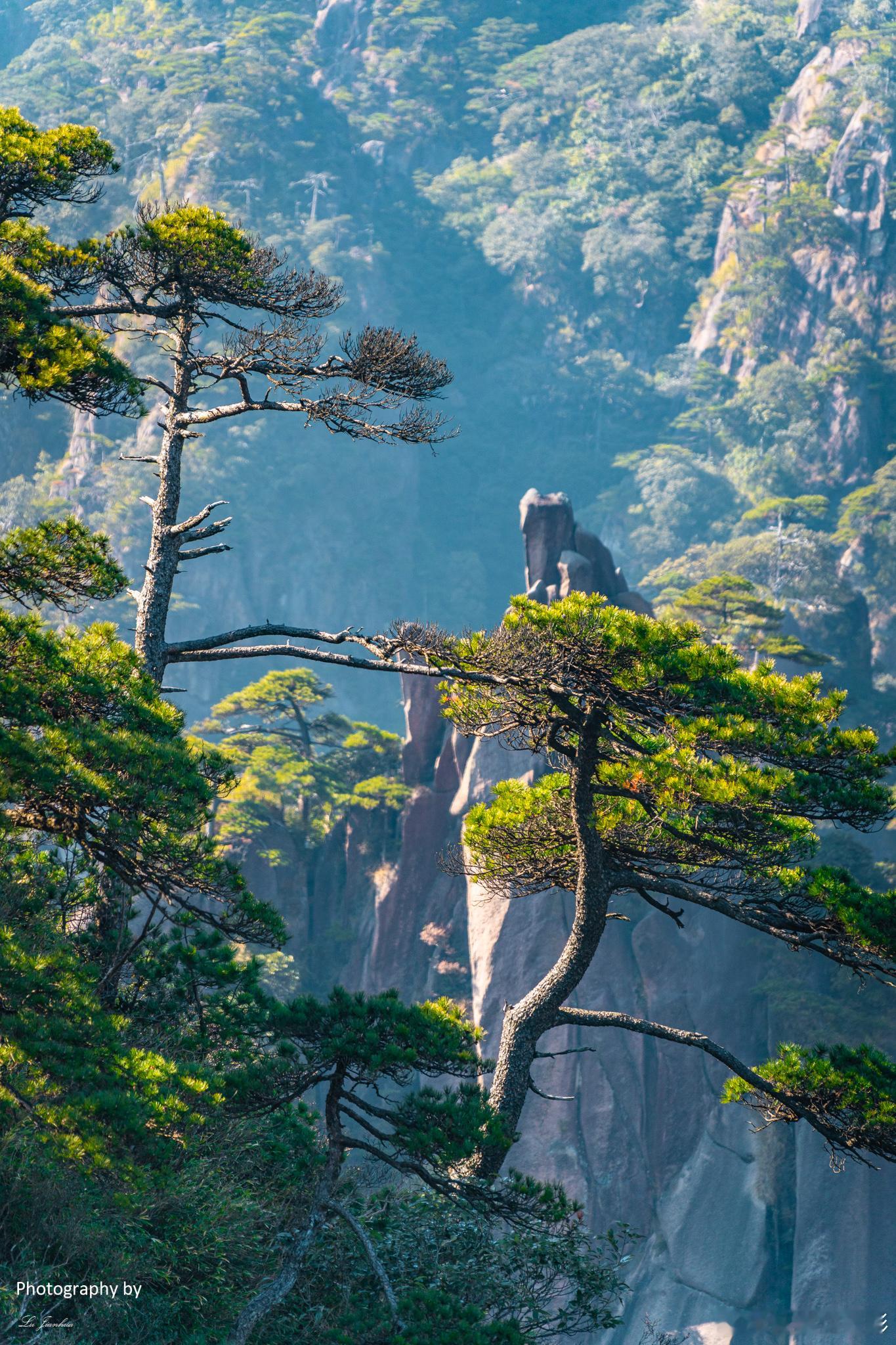 🏞【大自然鬼斧神工】三清山奇松探秘🌲当我站在三清山的山顶，俯瞰这片神奇的土地