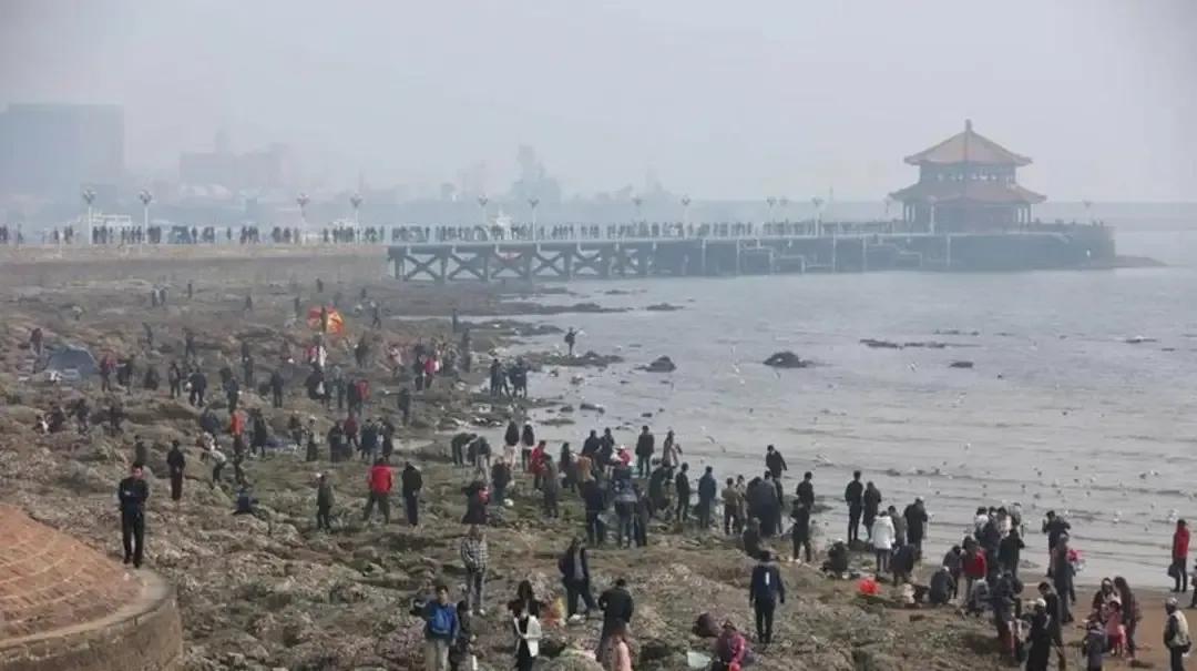 真是涨见识了呀！某些青岛人总说，他们的海滩是中国第一，坚决不接受反驳。不仅如此