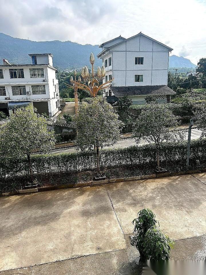 想赚60，结果倒贴30。公司清库存，我顺手挂咸鱼卖了120块。本来寻思着，6