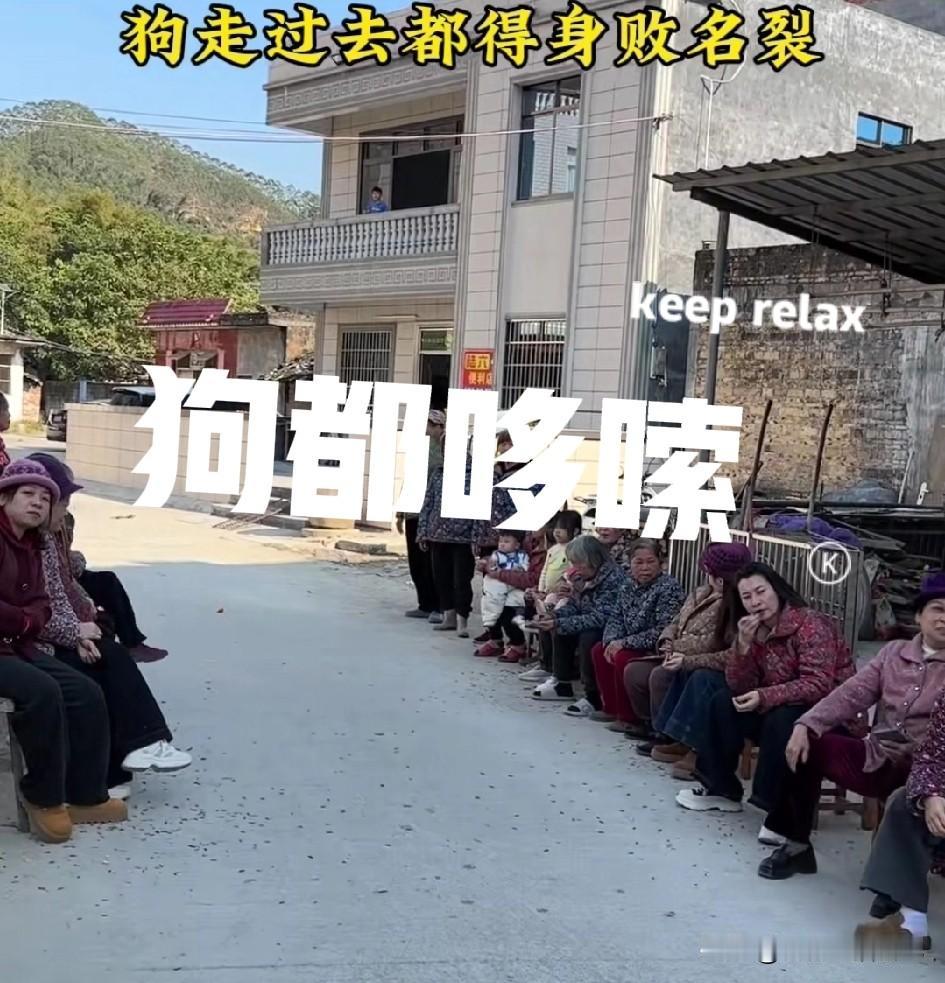 这群老太太，太可怕了！一只狗从他们跟前走过都会“身败名裂”。看到他们的八卦眼神，
