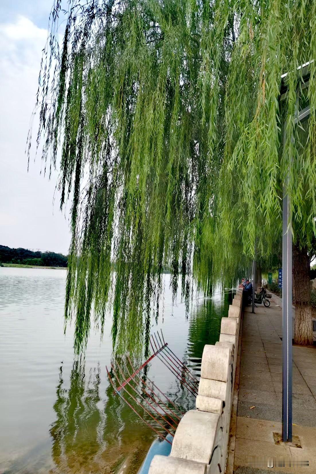 我爱我的家石家庄，家乡的山、家乡的水都让我很很难忘。2025年的夏天，我去了石家